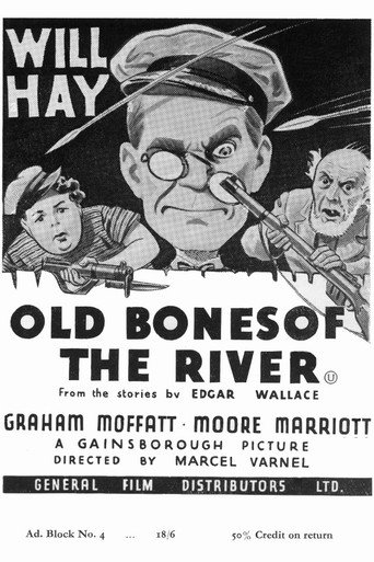 Poster for Old Bones of the River