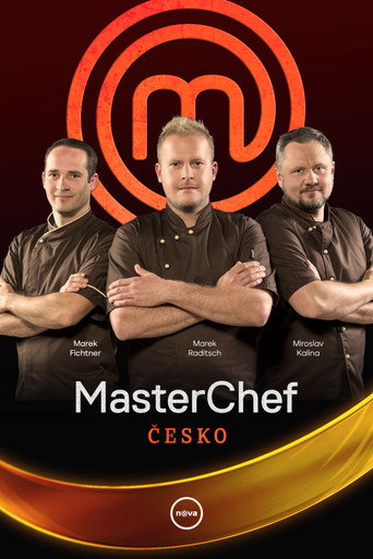The poster for Season 1