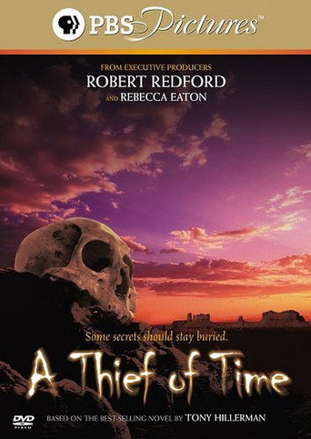 Poster for A Thief Of Time