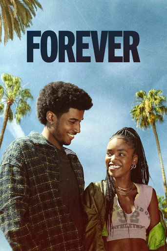 The poster for Season 1