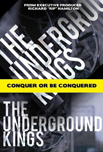 The poster for Season 1