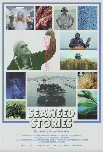 Poster for Seaweed Stories