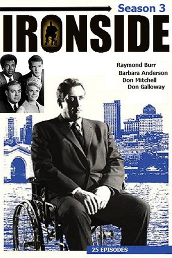 The poster for Season 3