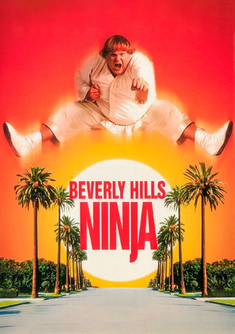 Poster for Beverly Hills Ninja