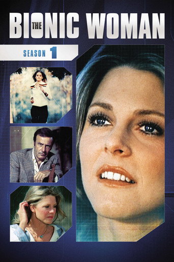 The poster for Season 1