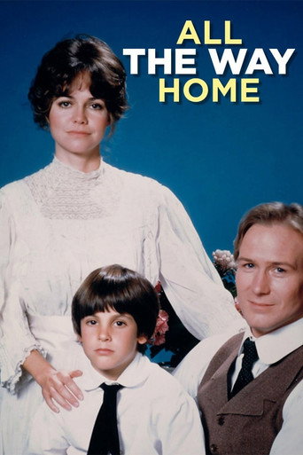 Poster for All the Way Home