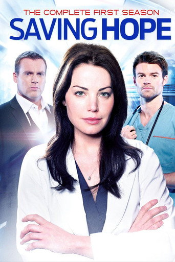 The poster for Season 1