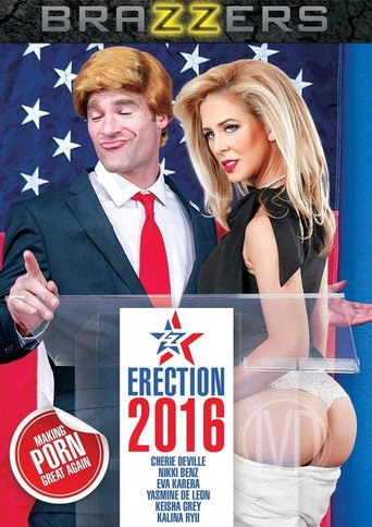 Poster for ZZ Erection 2016