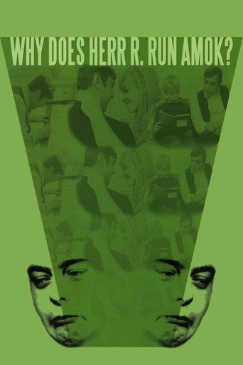 Poster for Why Does Herr R. Run Amok?