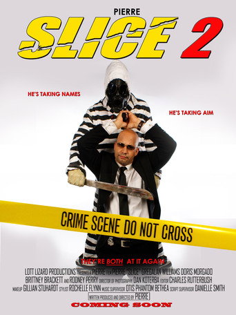 Poster for Slice 2