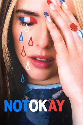 Poster for Not Okay
