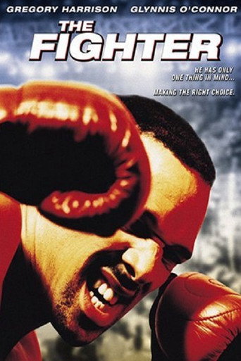 Poster for The Fighter