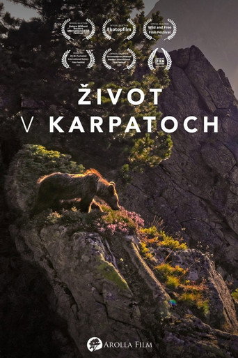 Poster for Into the Carpathian Wild