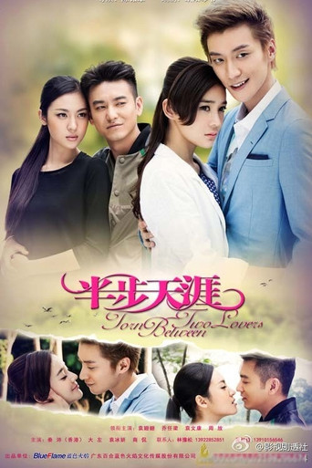 Poster for Torn Between Two Lovers