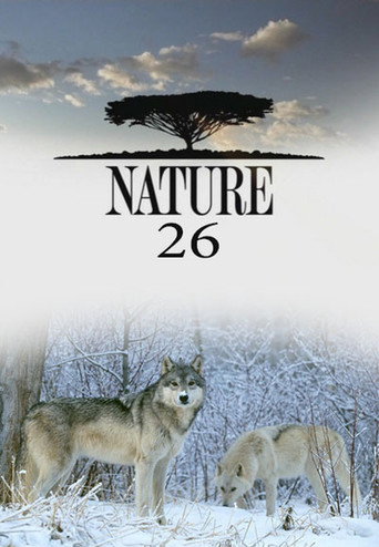 The poster for Season 26