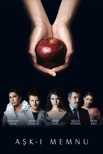 Poster for Forbidden Love