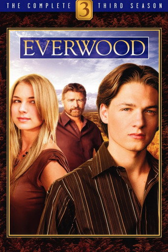 The poster for Season 3