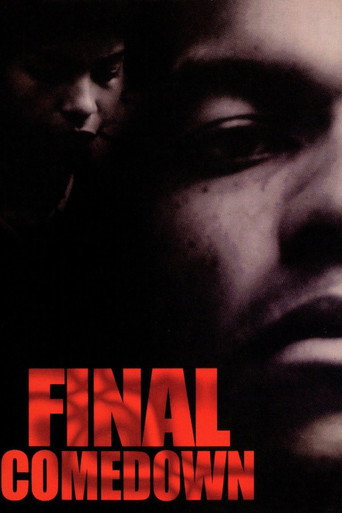 Poster for The Final Comedown