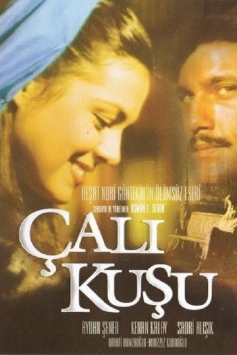 The poster for Season 1