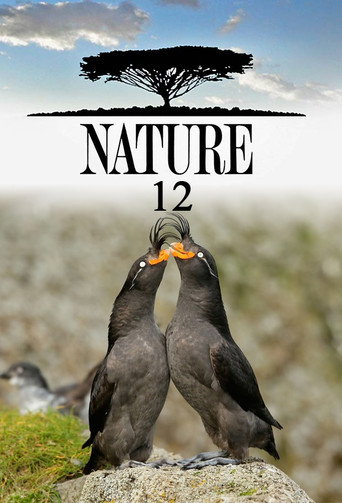 The poster for Season 12