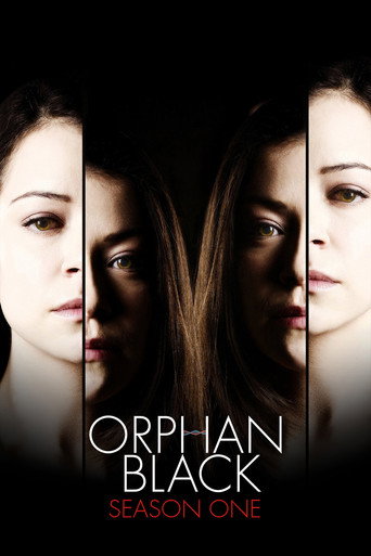 The poster for Season 1