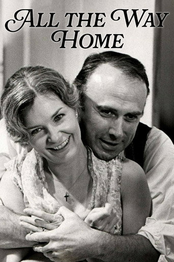 Poster for All the Way Home