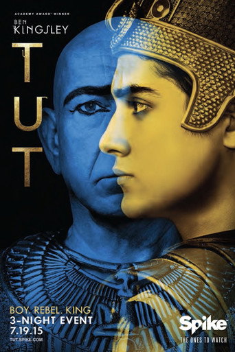 The poster for Mini-series