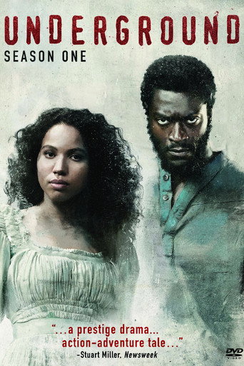 The poster for Season 1