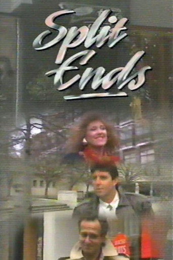 Poster for Split Ends