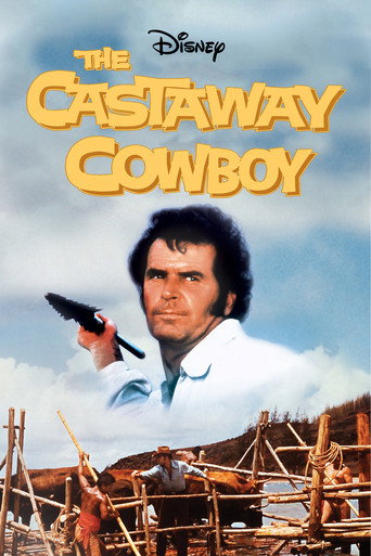 Poster for The Castaway Cowboy