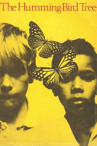 Poster for The Hummingbird Tree