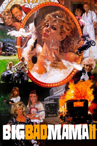 Poster for Big Bad Mama II