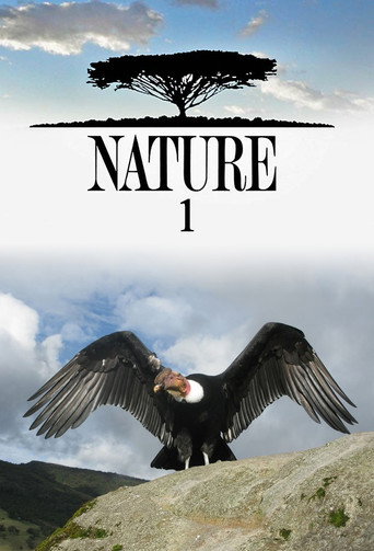 The poster for Season 1
