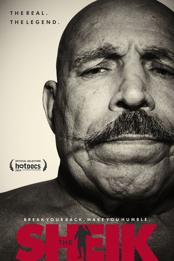 Poster for The Sheik