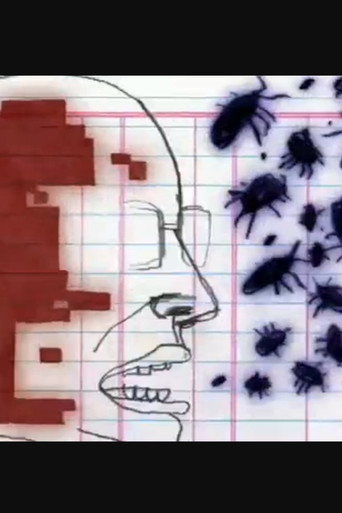 Poster for Camouflage