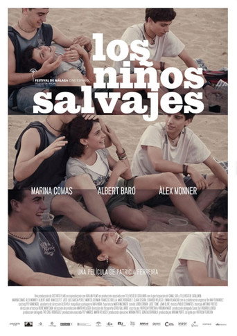 Poster for The Wild Children