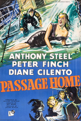 Poster for Passage Home