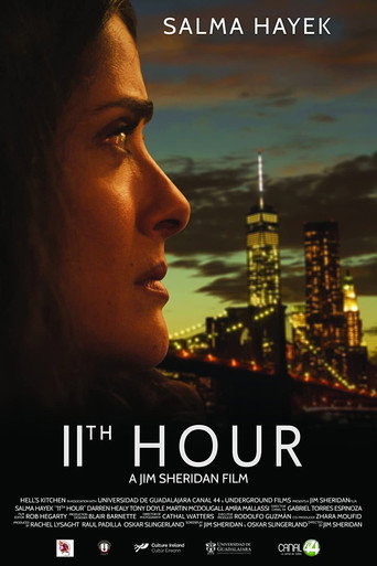 Poster for 11th Hour