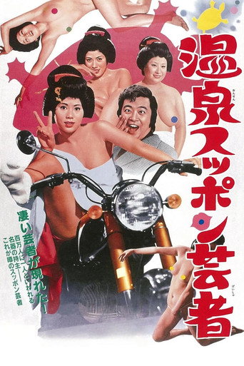 Poster for Turtle Geisha