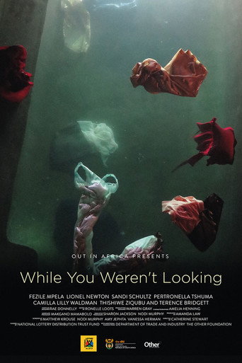 Poster for While You Weren't Looking
