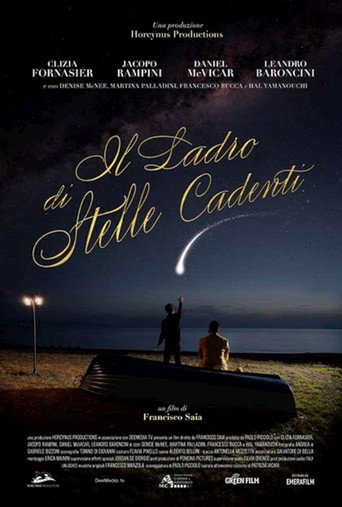 Poster for Il ladro di stelle cadenti