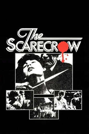 Poster for The Scarecrow