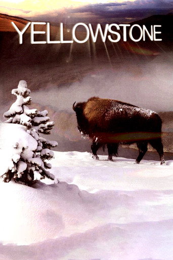 Poster for Yellowstone
