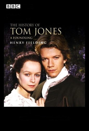 The poster for Miniseries