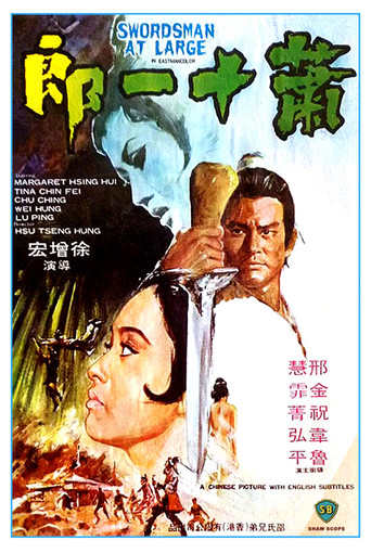 Poster for Swordsman at Large