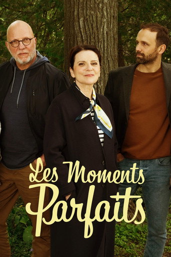 Poster for Les moments parfaits