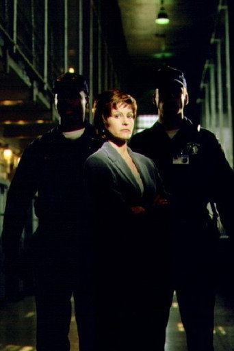 Poster for The Warden
