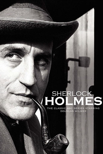 The poster for Series 1