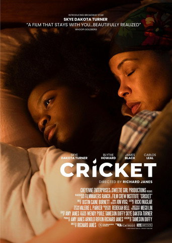Poster for Cricket