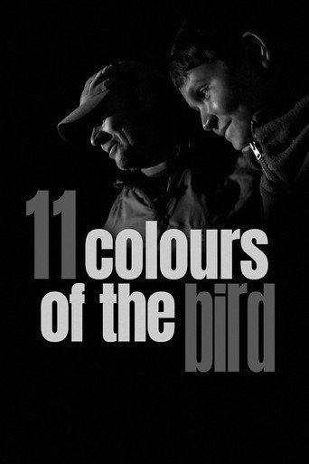 Poster for 11 Colours of the Bird